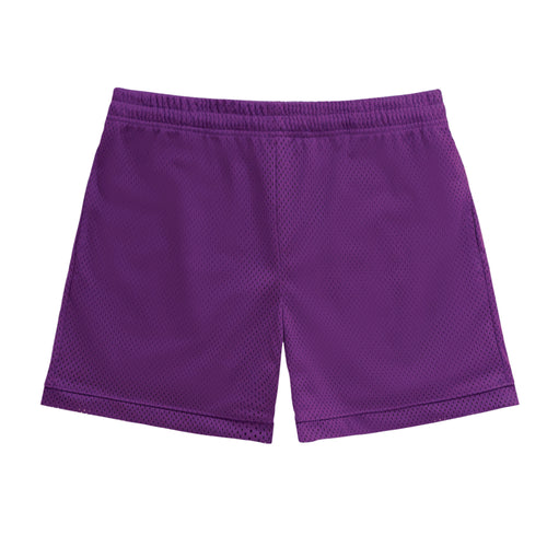 Mesh Shorts Purple